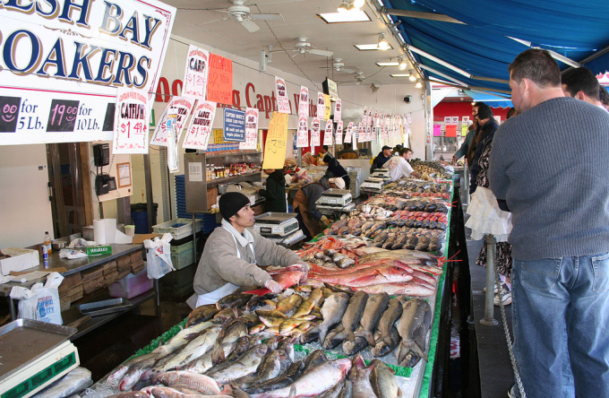 fish-market-1052_20210531_377-153024.jpeg