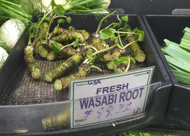 wasabi-root.jpg