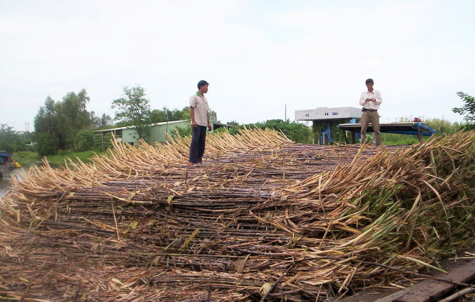 mia-hau-giang-2-1643_20210906_917-190159.jpeg