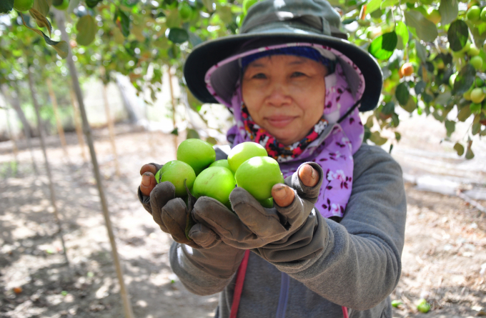 watermark_anh-10-tao-ninh-thuan-0905_20211213_607-095339.jpeg