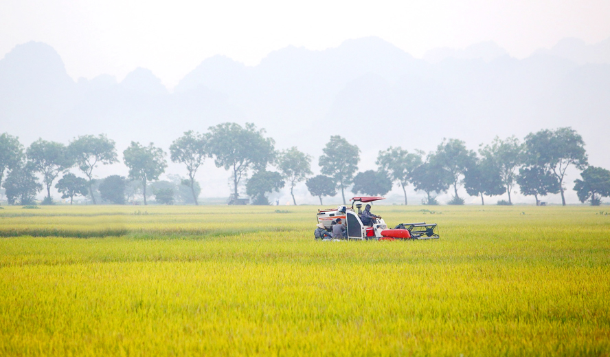 nong-dan-san-xuat-tren-canh.jpg